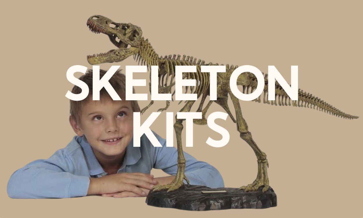 Skeleton Kits