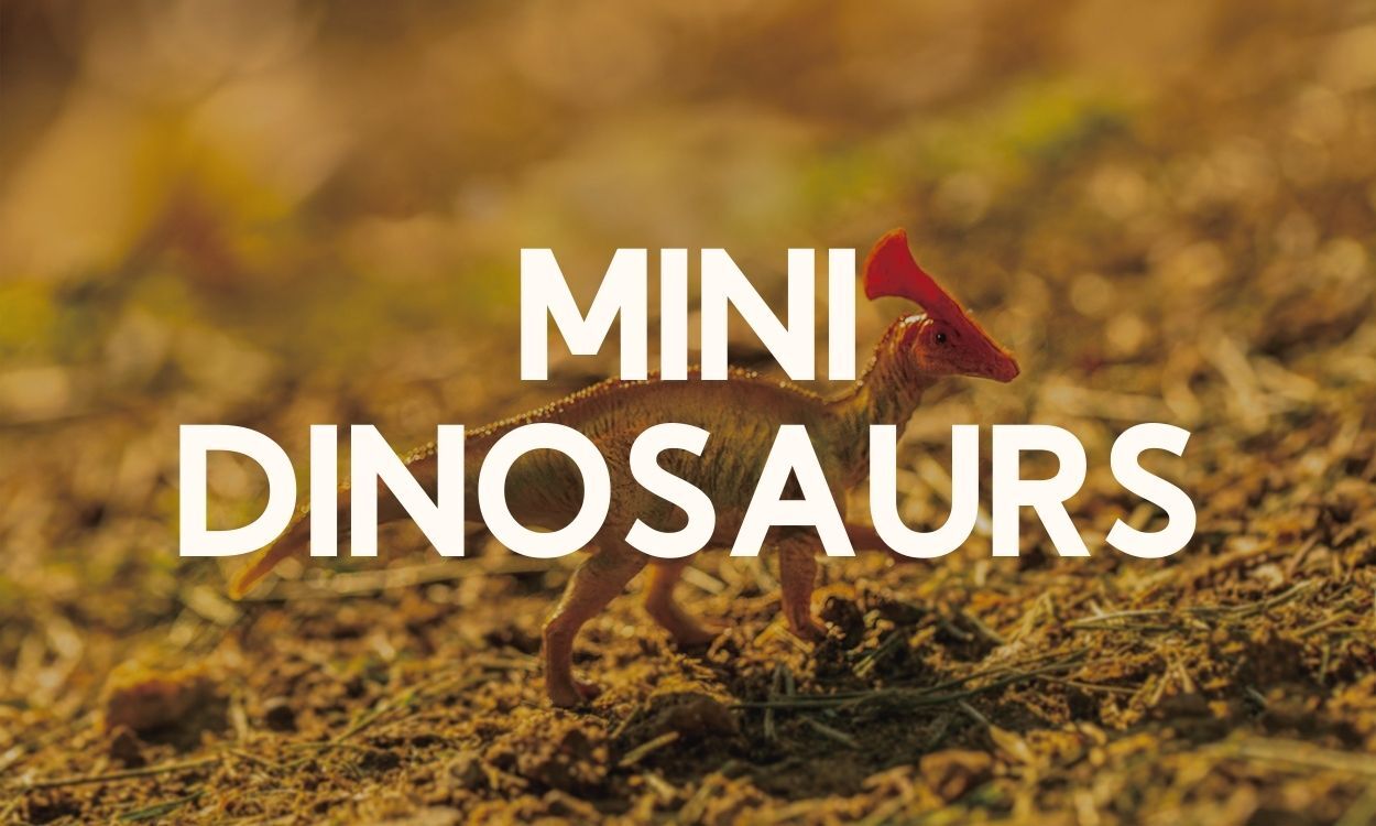 Mini Dinosaurs