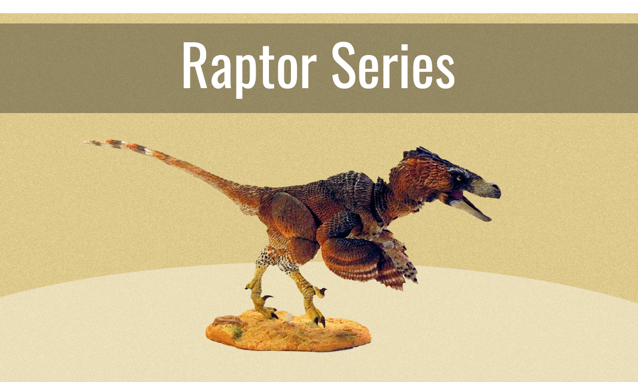 Raptor Series