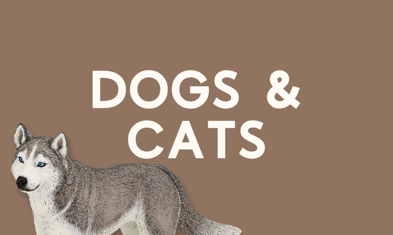 Dogs and Cats