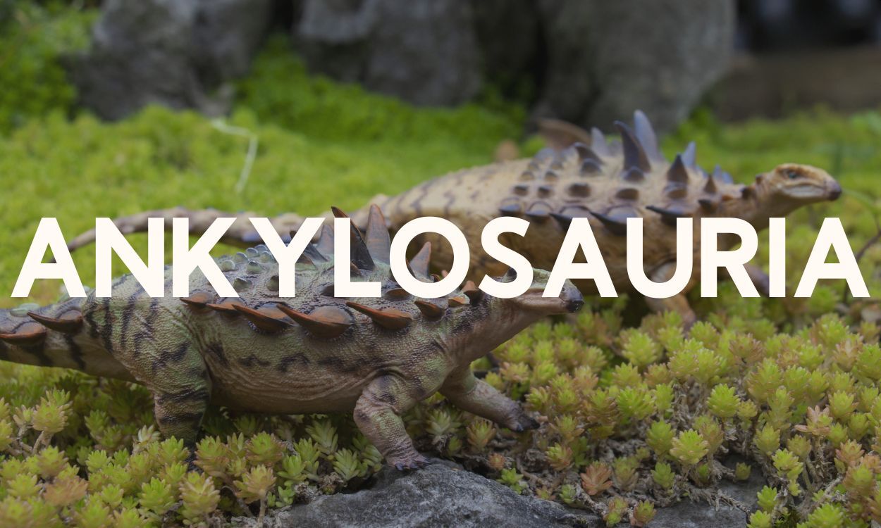 Ankylosauria