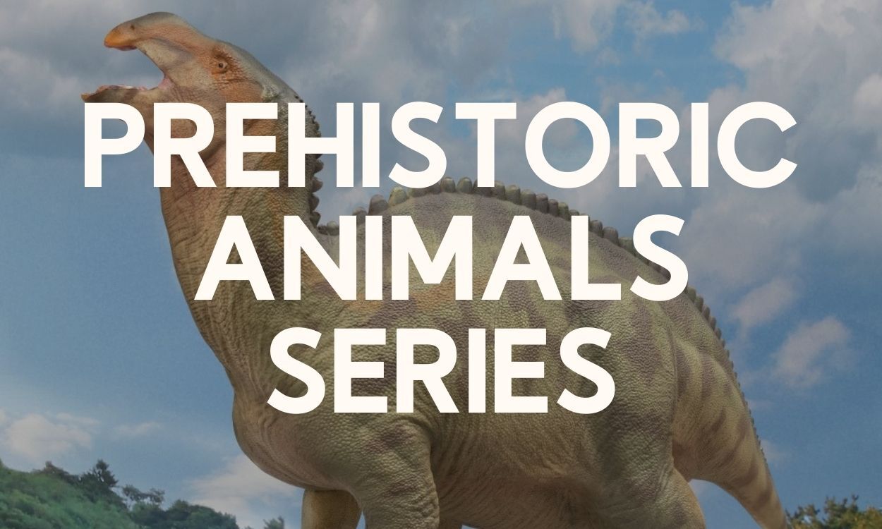 Prehistoric Animals Series