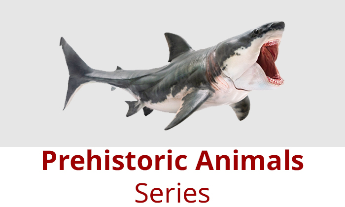 Prehistoric Animals Series