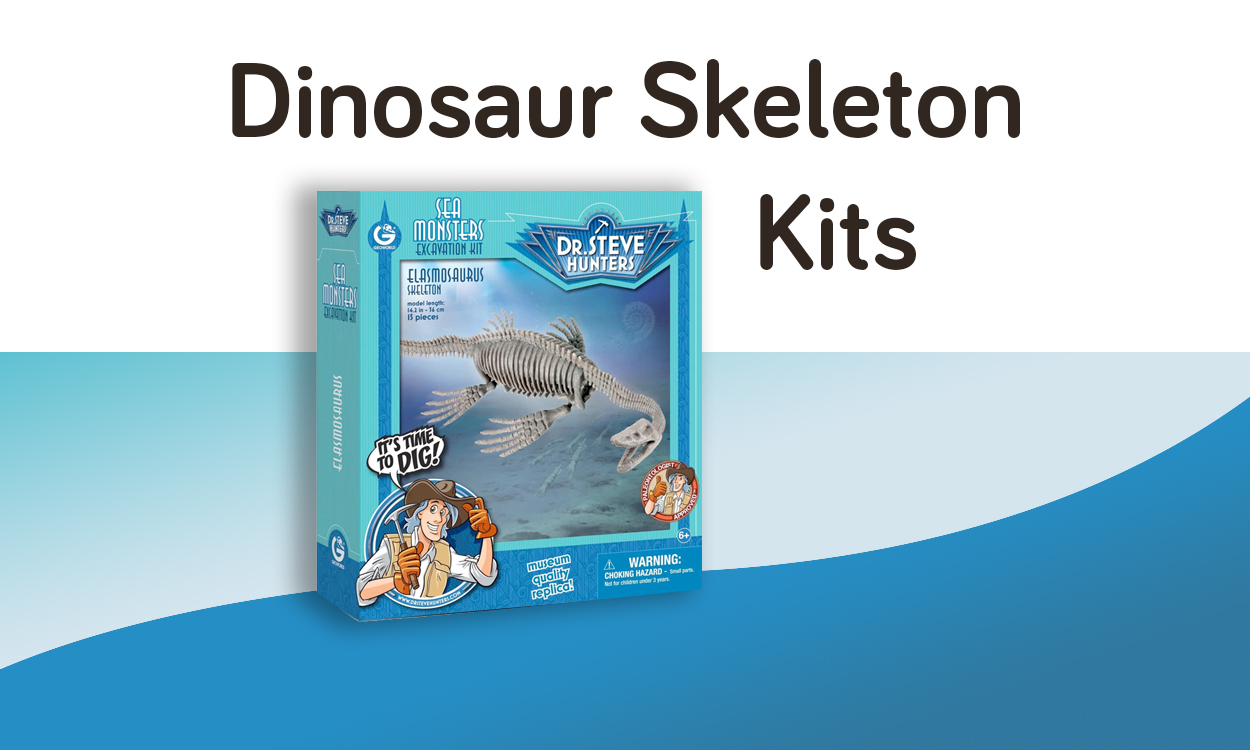 Dinosaur Skeleton Kits