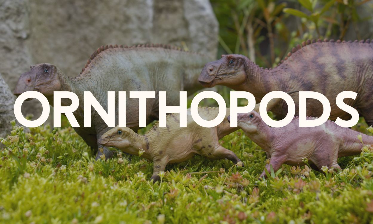 Ornithopods