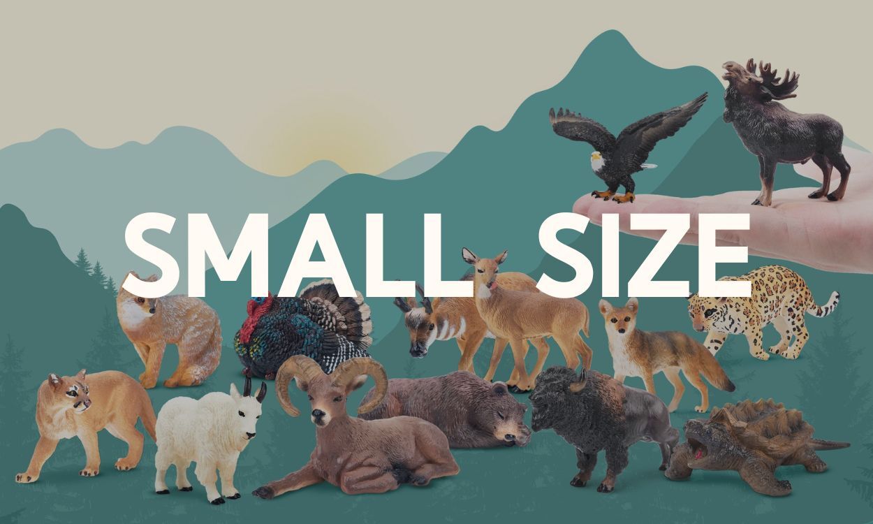 Small Size