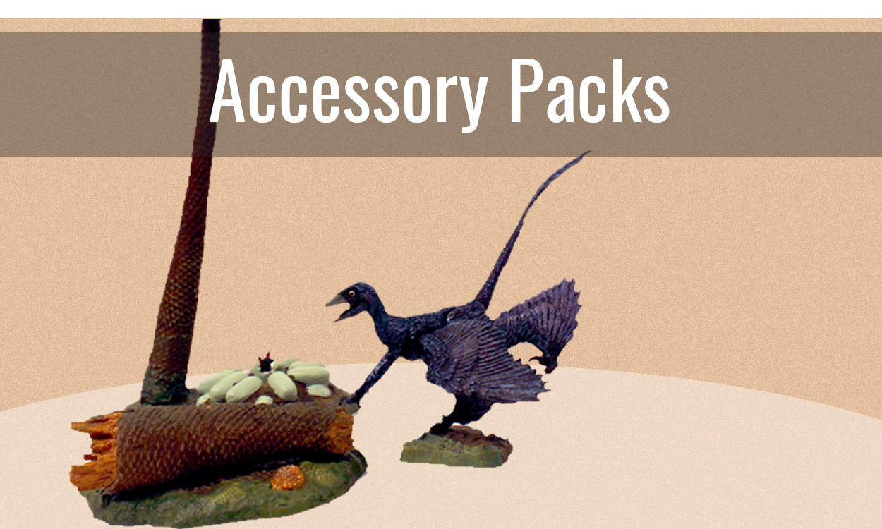 Accessory Packs