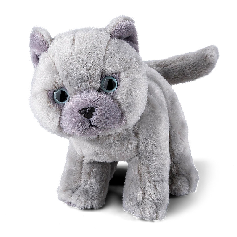 Figurine chat Shorthair gris - L.26 x l.17,3 x H.23 cm - Jardiland