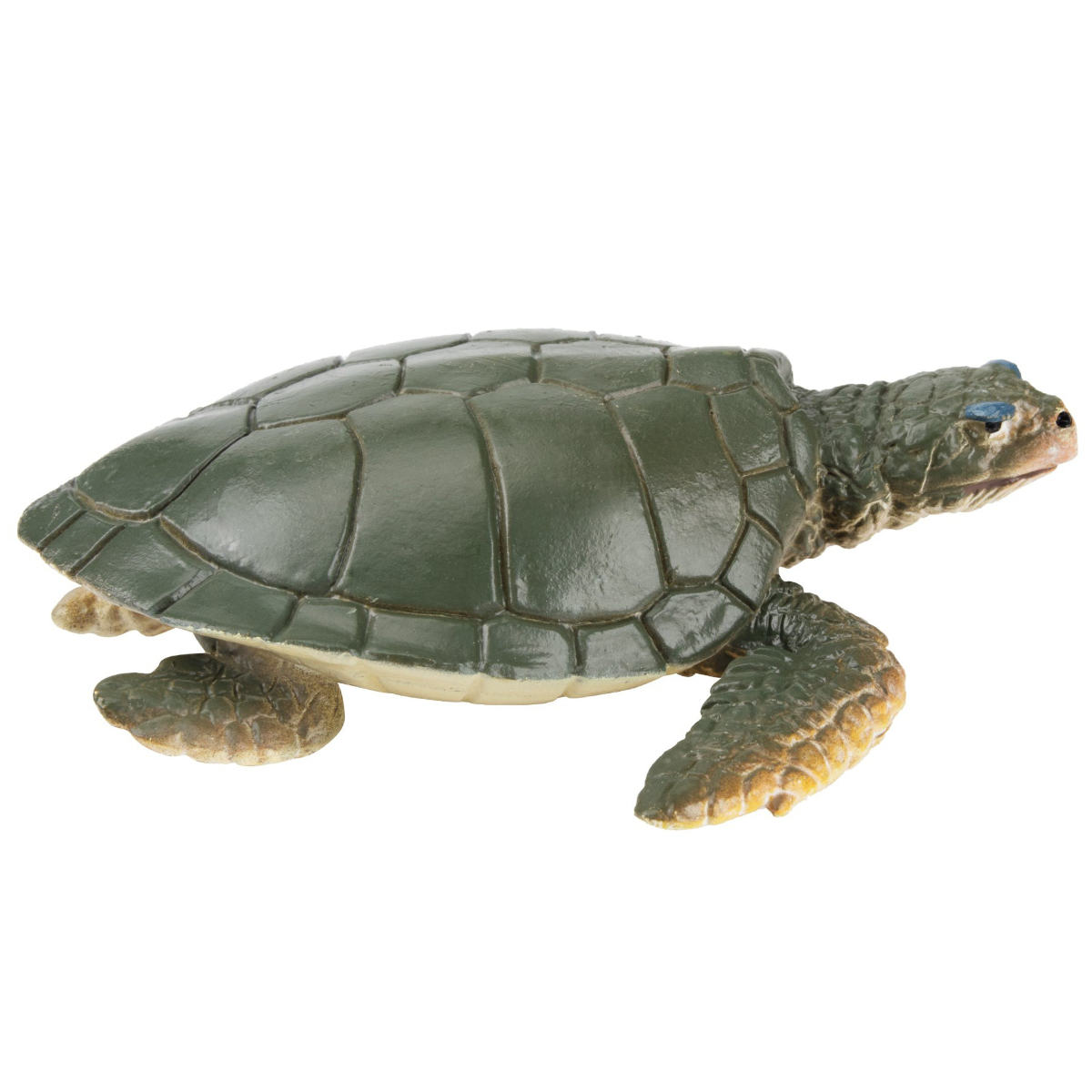 Toymany Kemp's Ridley Sea Turtle Walking | Realistic Turtle Figurines