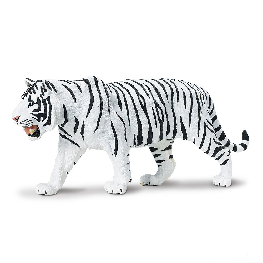 white-tiger専用 Safari_Siberian_White_Tiger_Ju