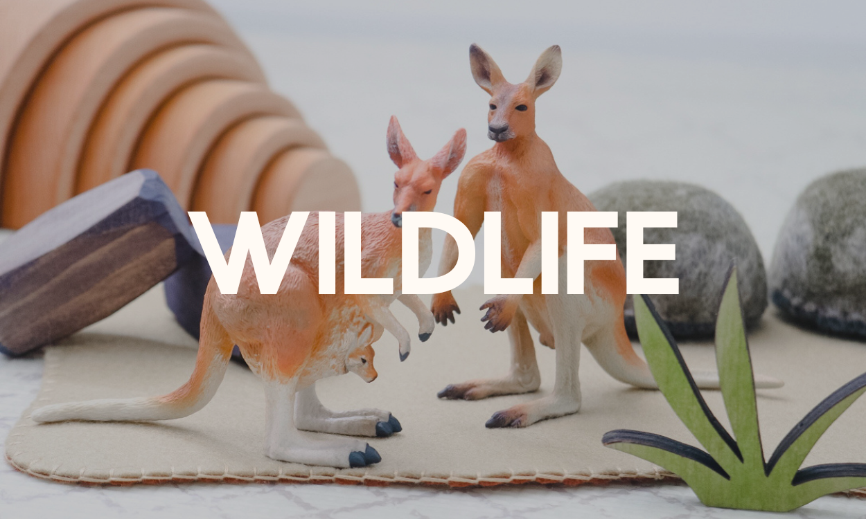 Wild Life