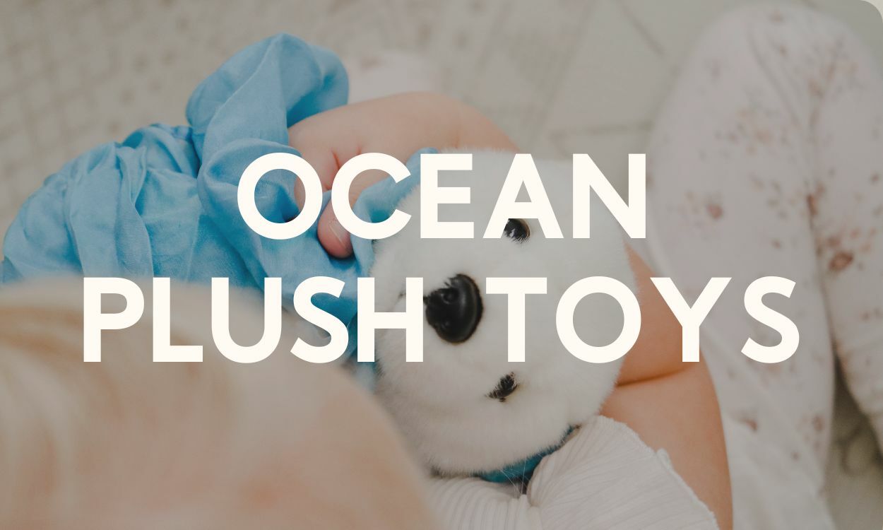 Ocean