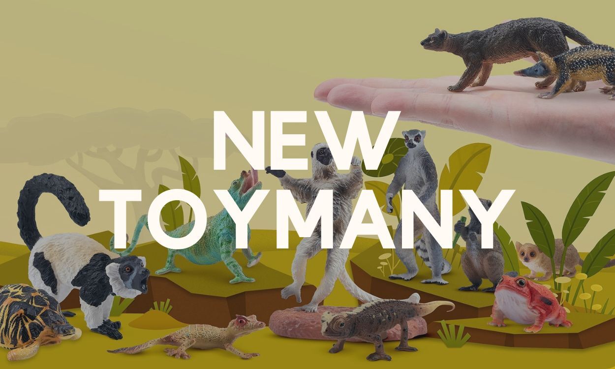 New Toymany