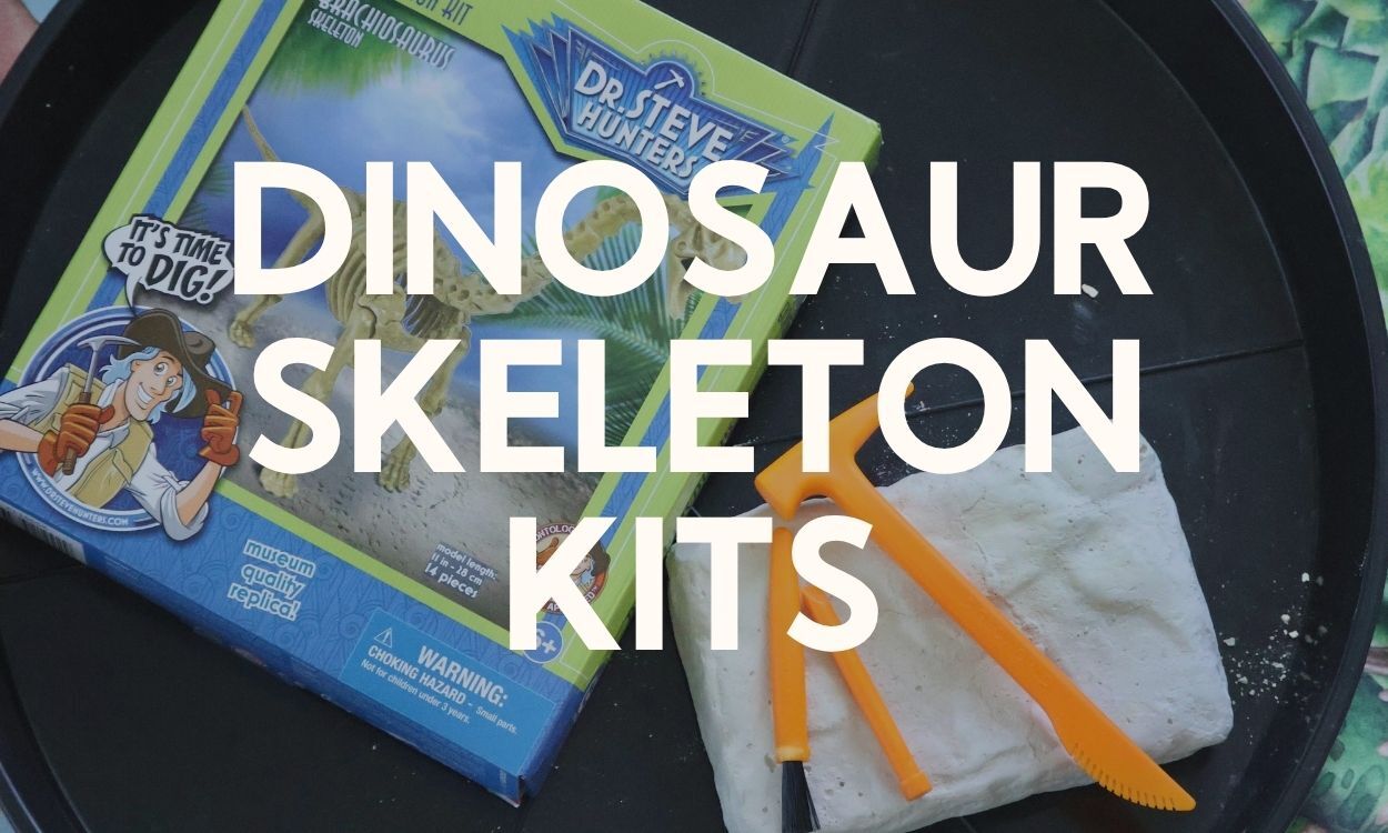 Dinosaur Skeleton Kits