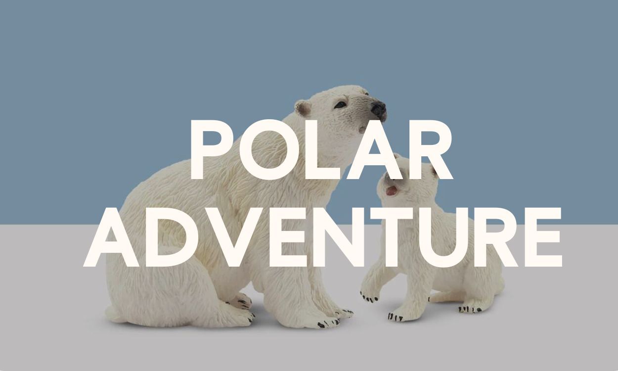 Polar Adventure