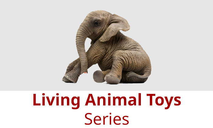 Living Animals Series