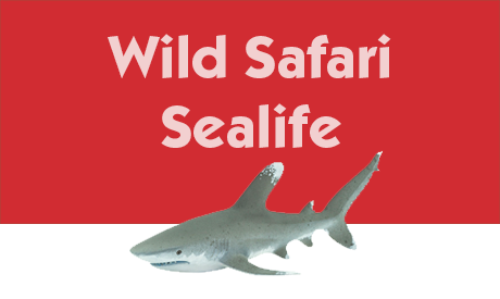 Wild Safari Sealife