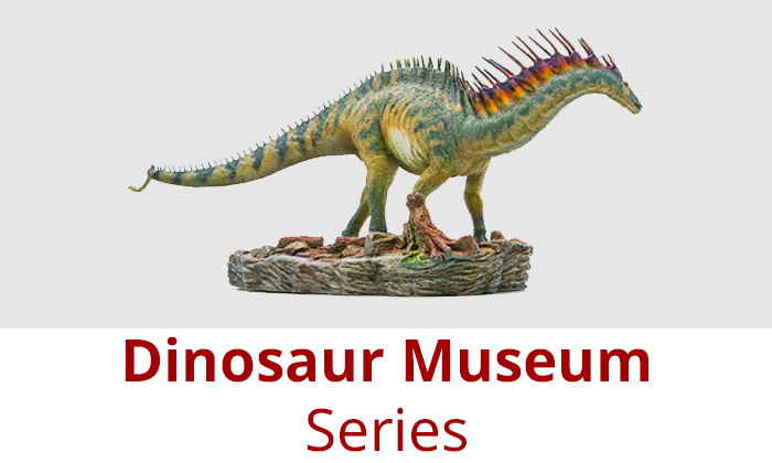 Dinosaur Museum Series