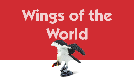 Wings of the World