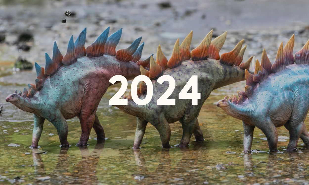 Haolonggood 2024