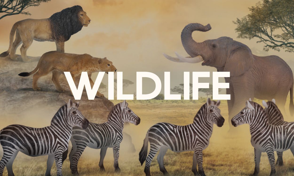 Wildlife