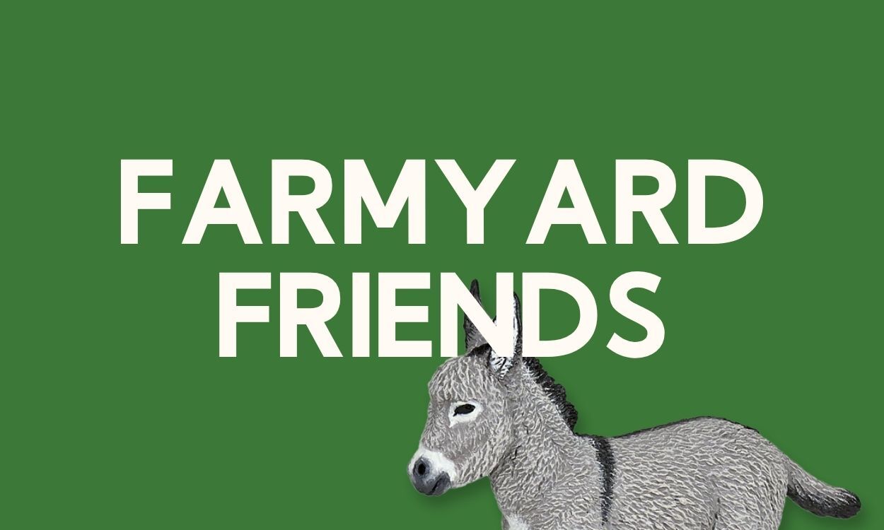 Farmyard Friends