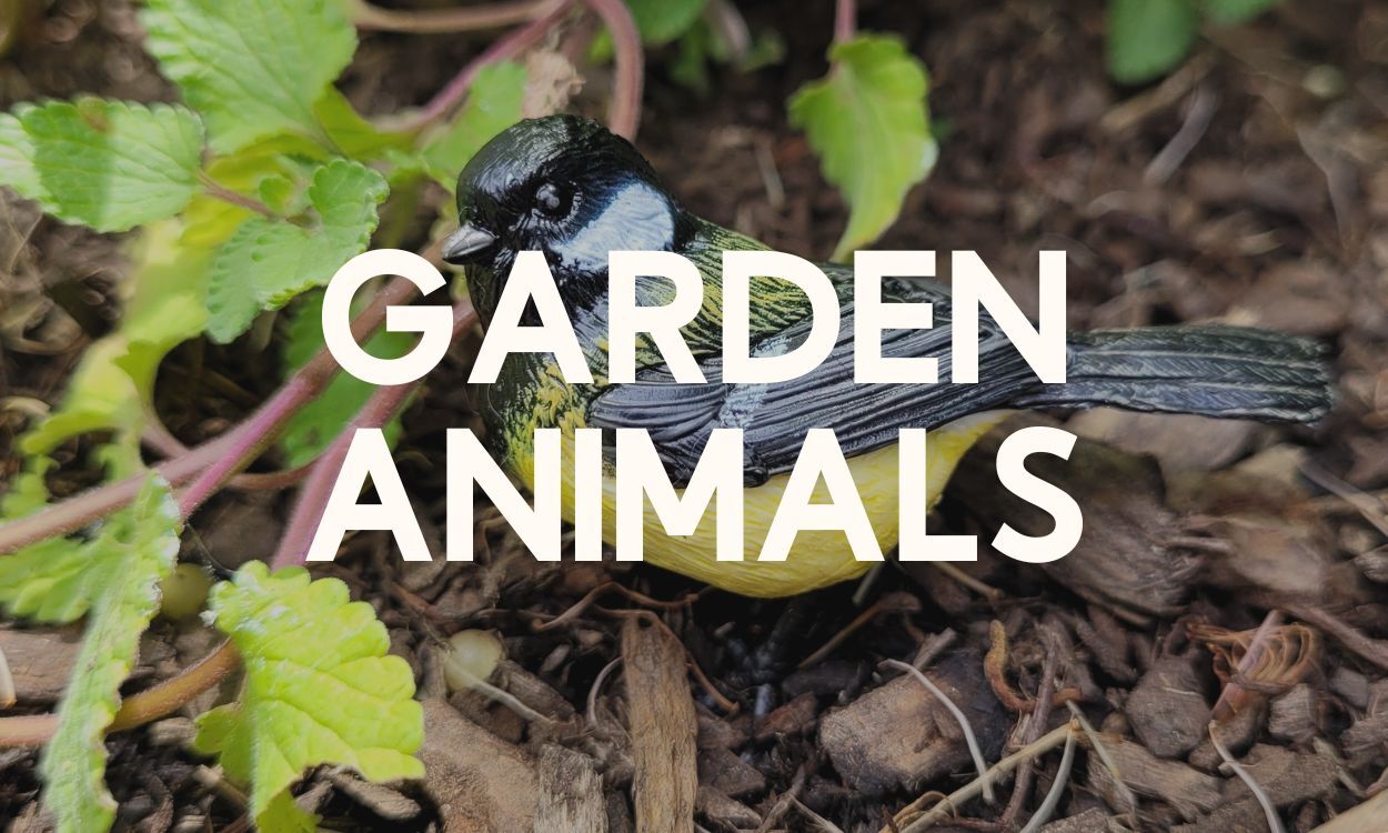 Garden Animals