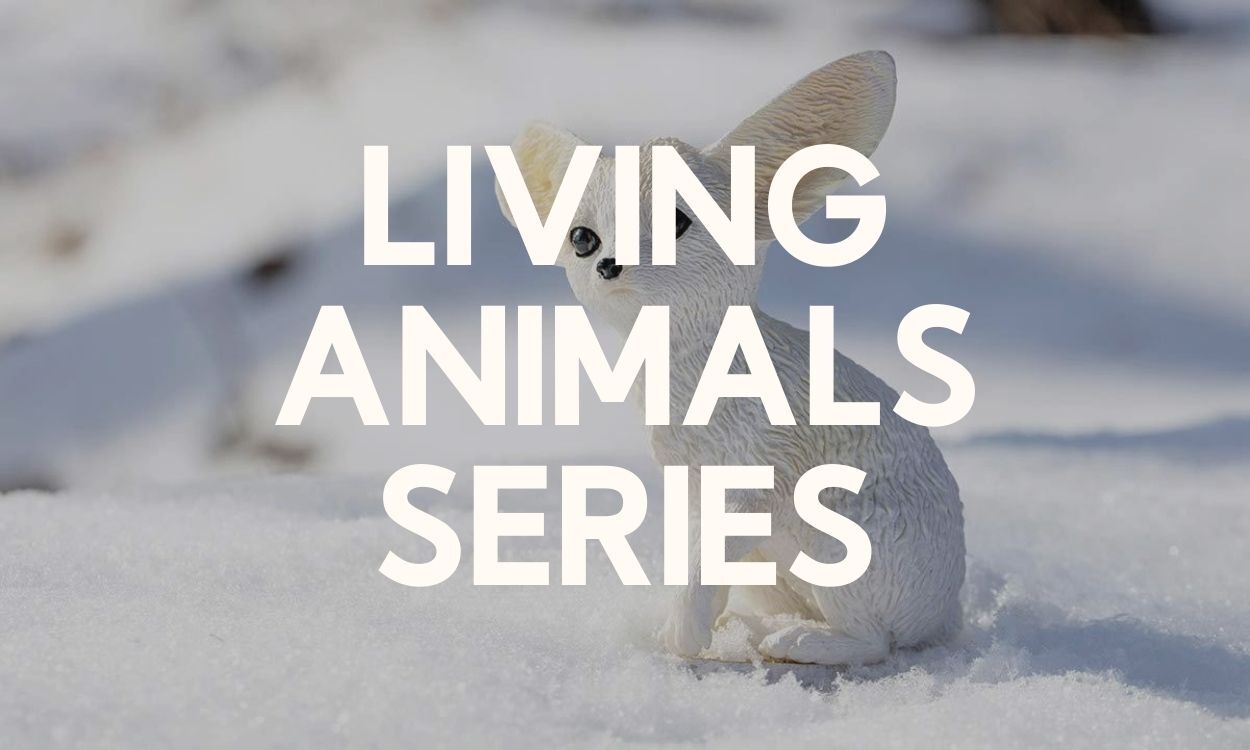 Living Animals Series