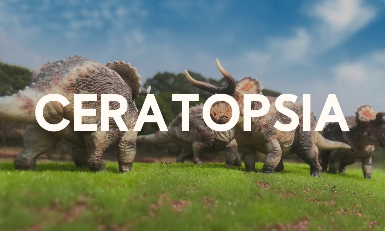 Ceratopsia