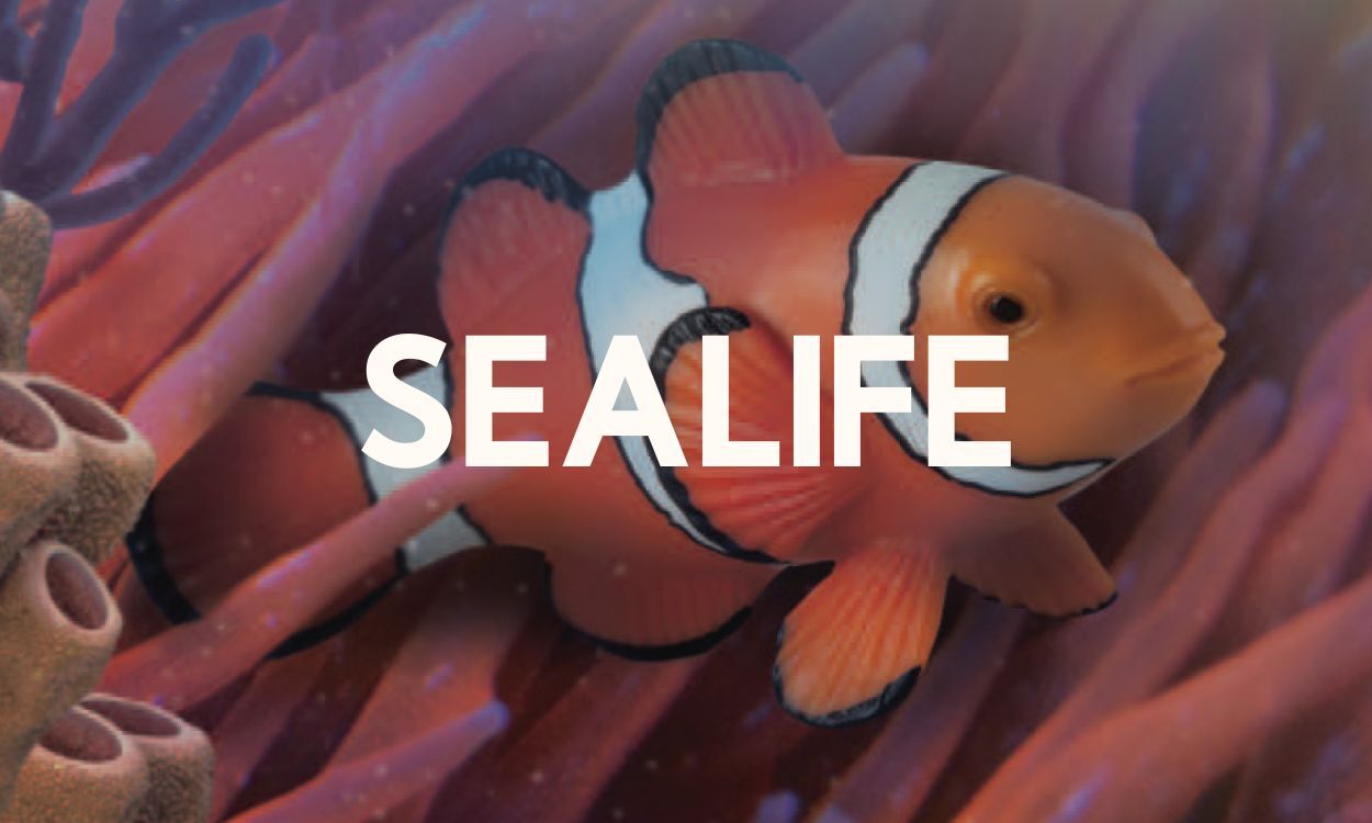 Aquatic
