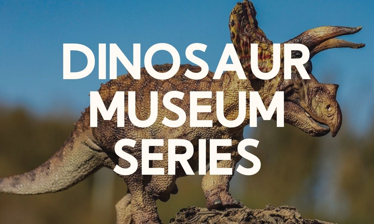 Dinosaur Museum Series