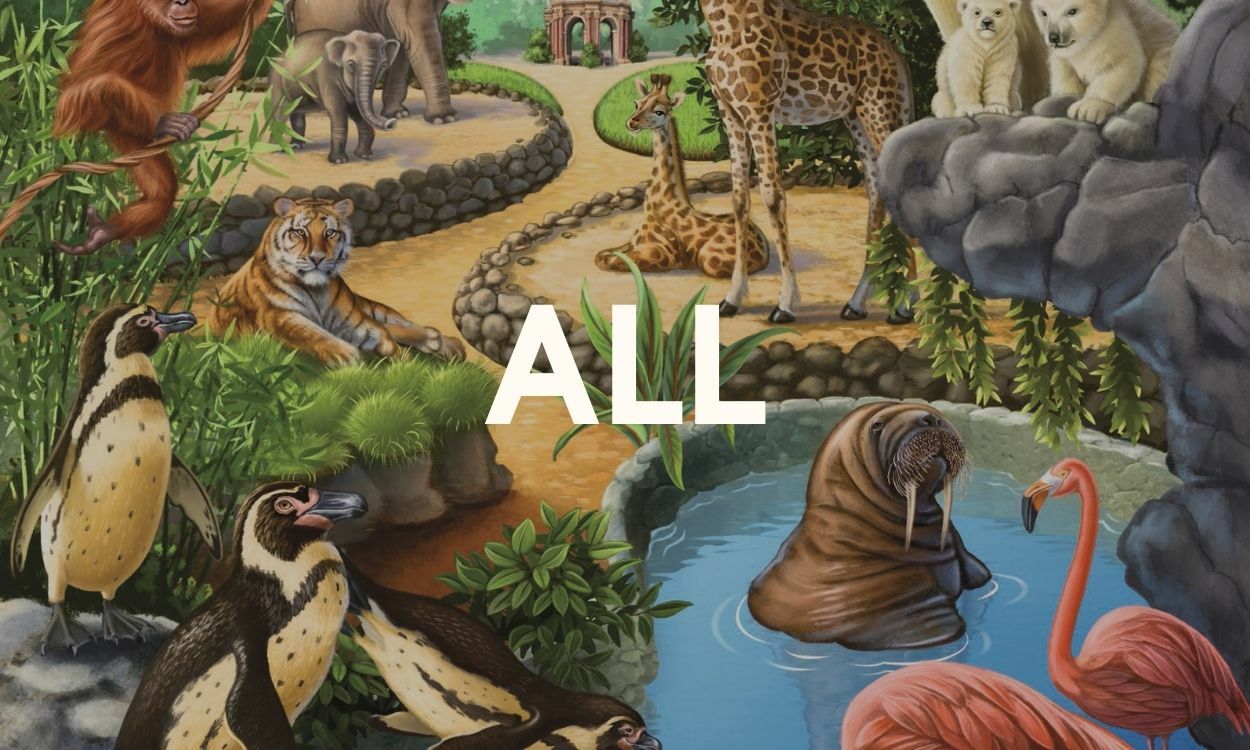 All Ravensburger