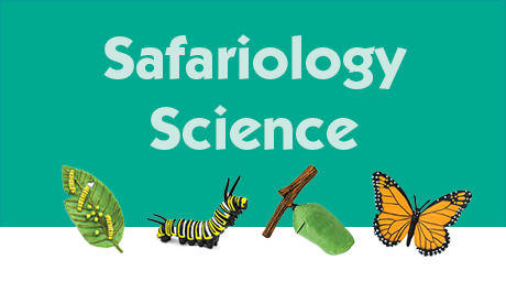 Safariology Science