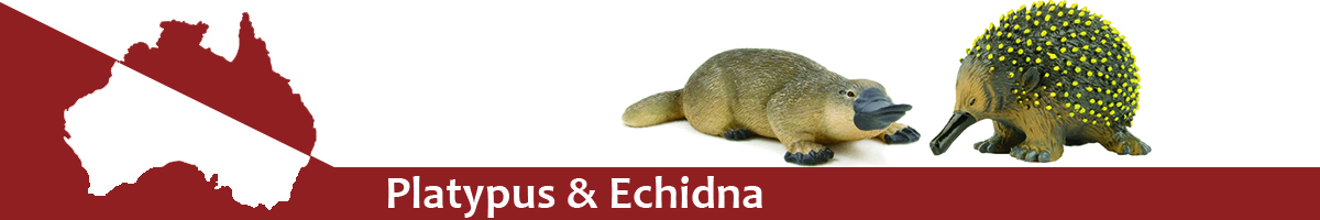 Platypus & Echidna banner