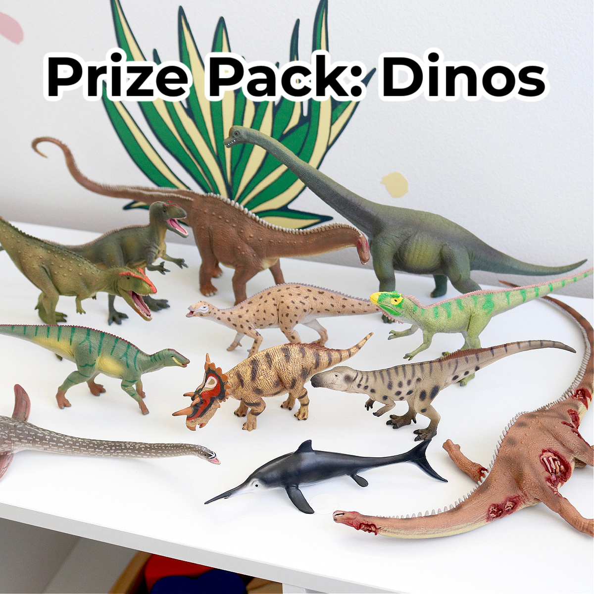 prize-pack-dinos.jpeg prize-pack-dinos.jpeg