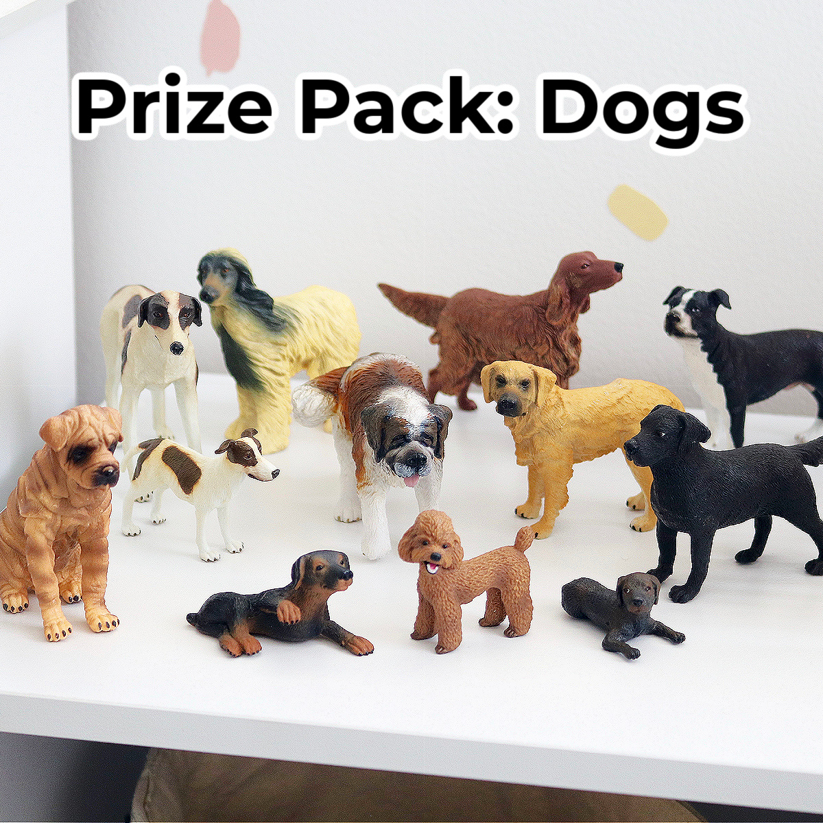 prize-pack-dogs.jpeg prize-pack-dogs.jpeg