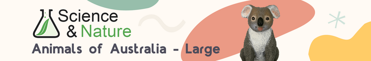 s-n-animals-of-australia-large-category-banner.png