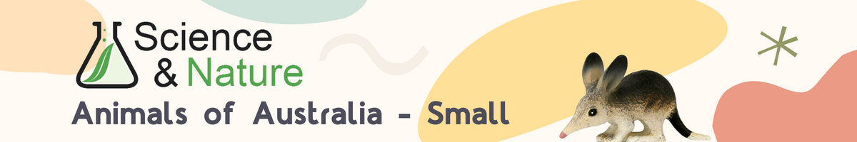 s-n-animals-of-australia-small-category-banner.png