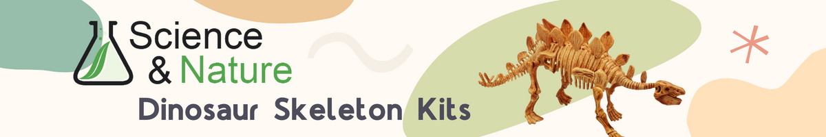 s-n-dino-skeleton-kits-category-banner-1-.png