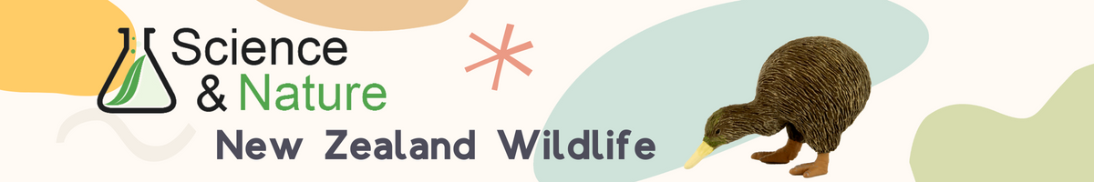 s-n-new-zealand-wildlife-category-banner.png