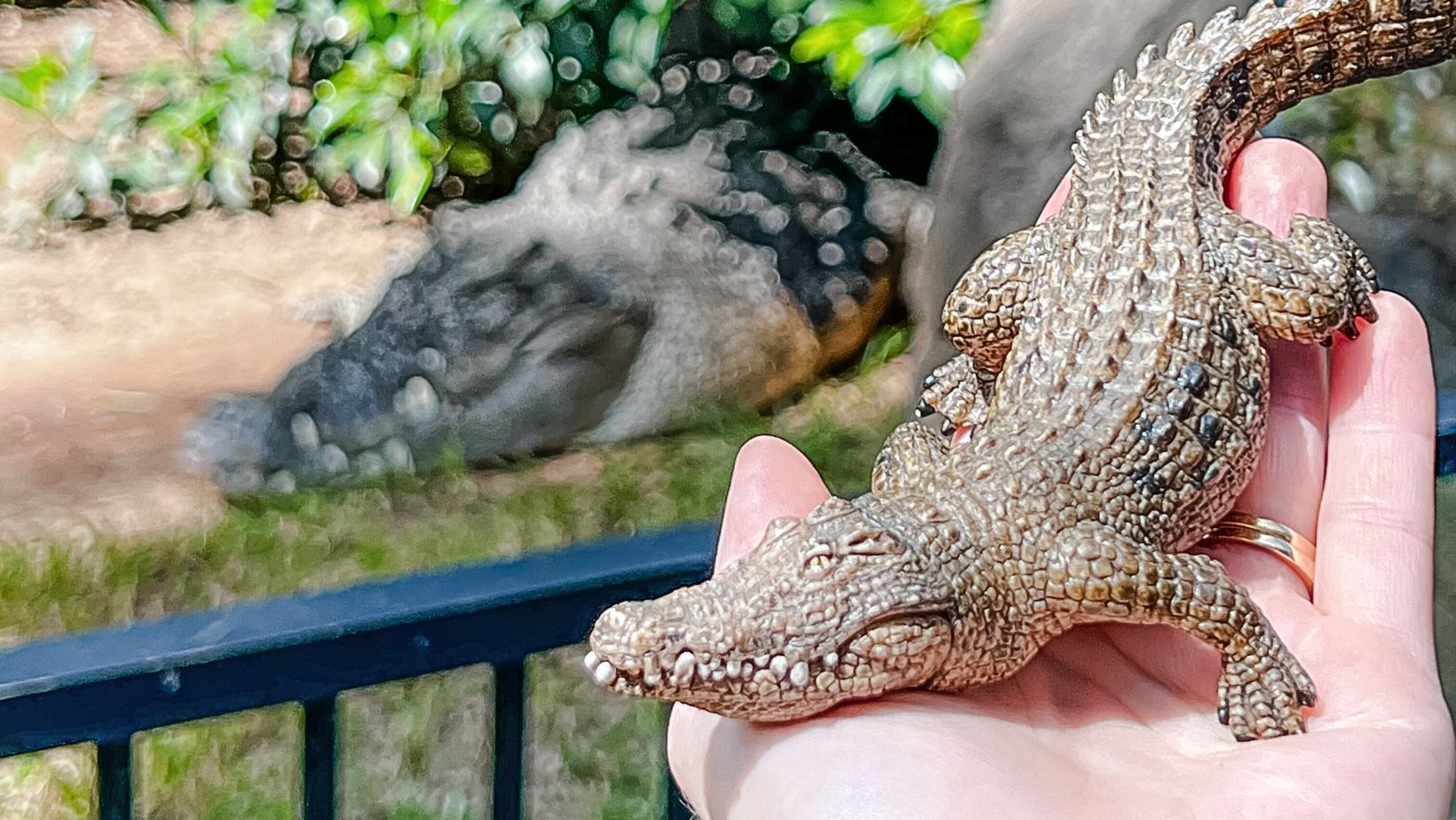 schleich-realistic-animal-toys-blog-matching-crocodile.jpg schleich-realistic-animal-toys-blog-matching-crocodile.jpg