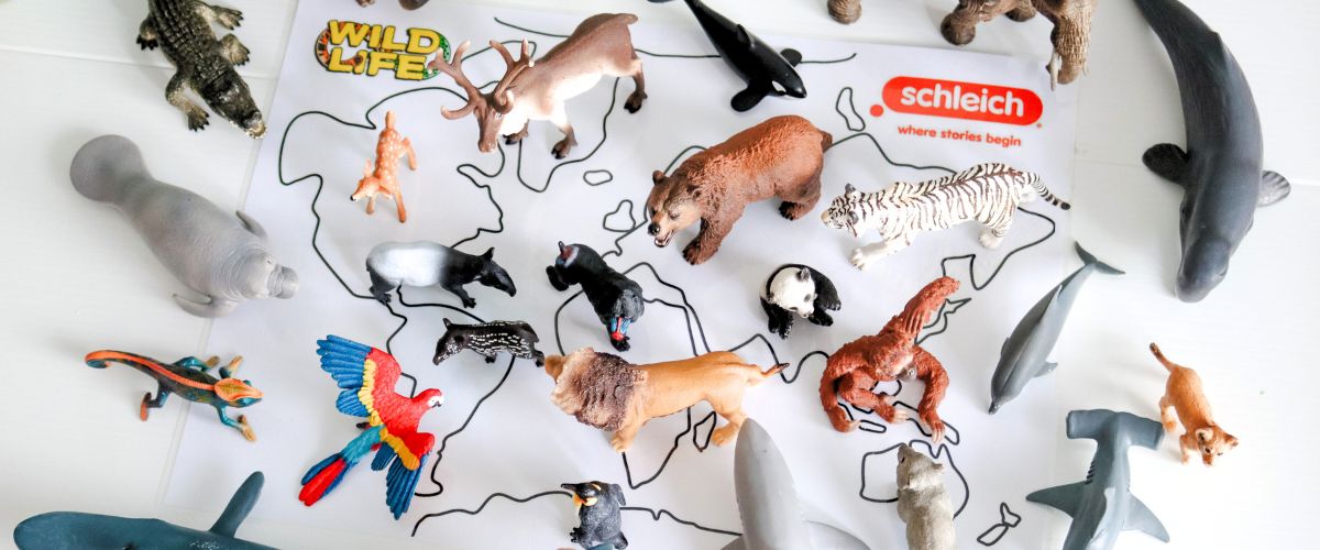 schleich-world-map.jpeg