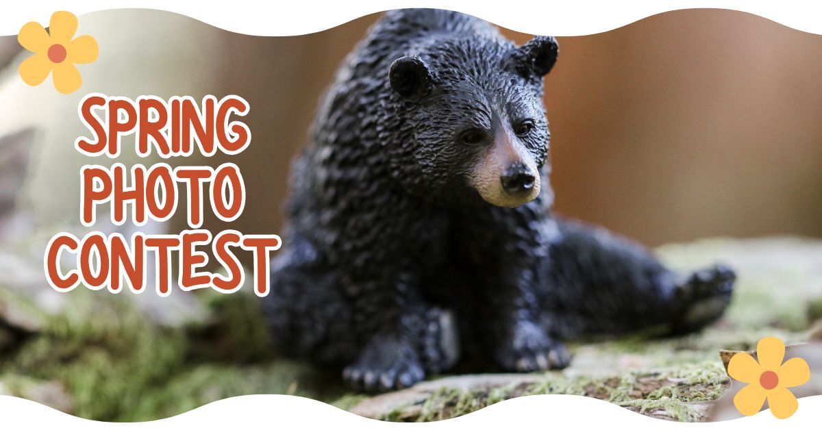 MiniZoo Spring Photo Contest