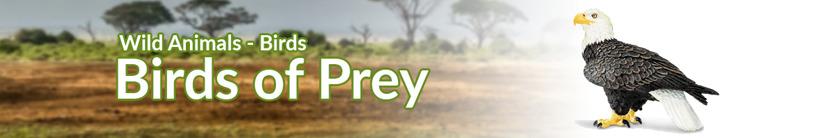 Wild Animals Birds of Prey banner - Click here to go back to Wild Animals