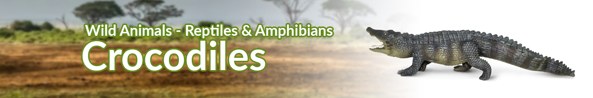 Wild Animals Crocodiles banner - Click here to go back to Wild Animals