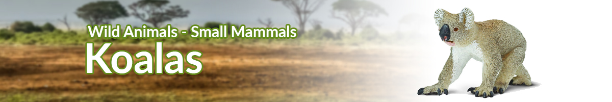 Wild Animals Koalas banner - Click here to go back to Wild Animals