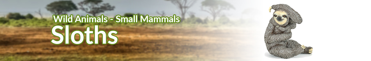 Wild Animals Sloths banner - Click here to go back to Wild Animals