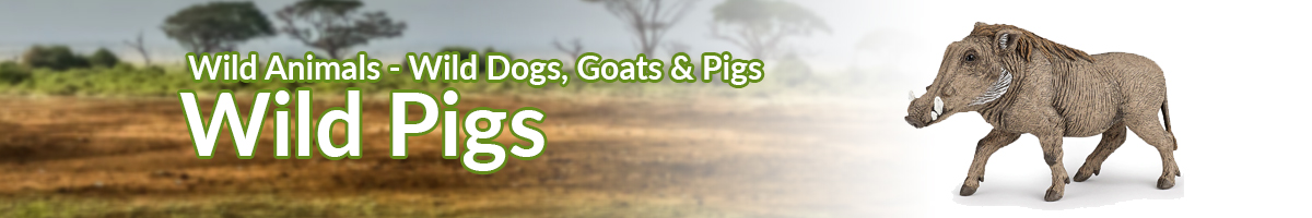 Wild Animals Wild Pigs banner - Click here to go back to Wild Animals