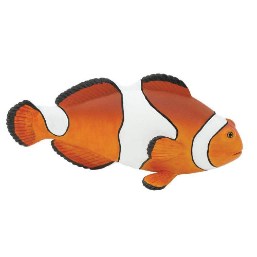 Safari Ltd Clown Anenomefish 261829