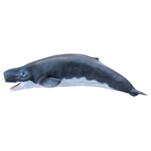 PNSO Requena the Livyatan | MiniZoo Prehistoric Marine Creatures